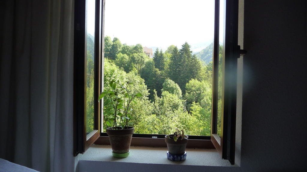 Saint-Pierre-d'Entremont 拉穗德辉杜潘松住宿加早餐旅馆住宿加早餐旅馆 外观 照片