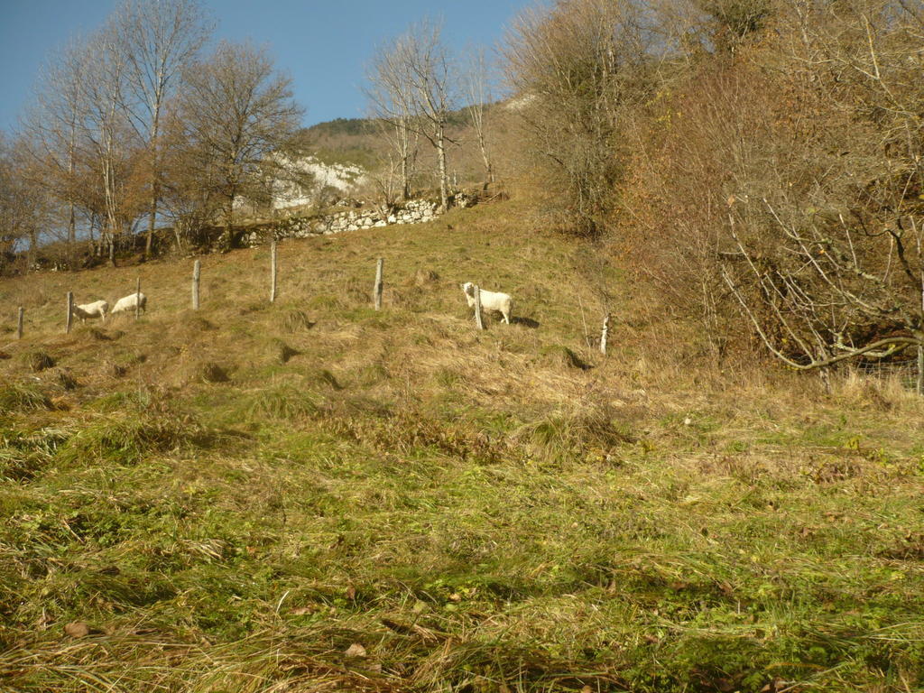 Saint-Pierre-d'Entremont 拉穗德辉杜潘松住宿加早餐旅馆住宿加早餐旅馆 外观 照片