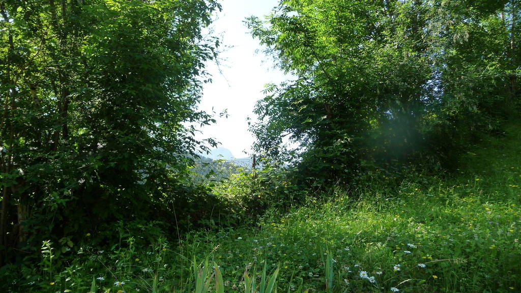 Saint-Pierre-d'Entremont 拉穗德辉杜潘松住宿加早餐旅馆住宿加早餐旅馆 外观 照片